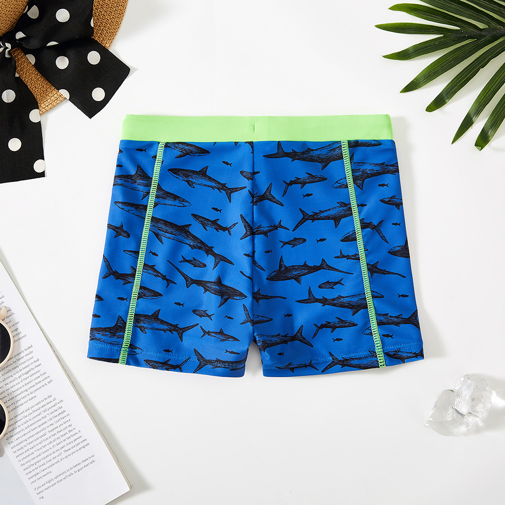 New Child Summer Swim Trunks B - Boyshort Underwear ulasan dan harga