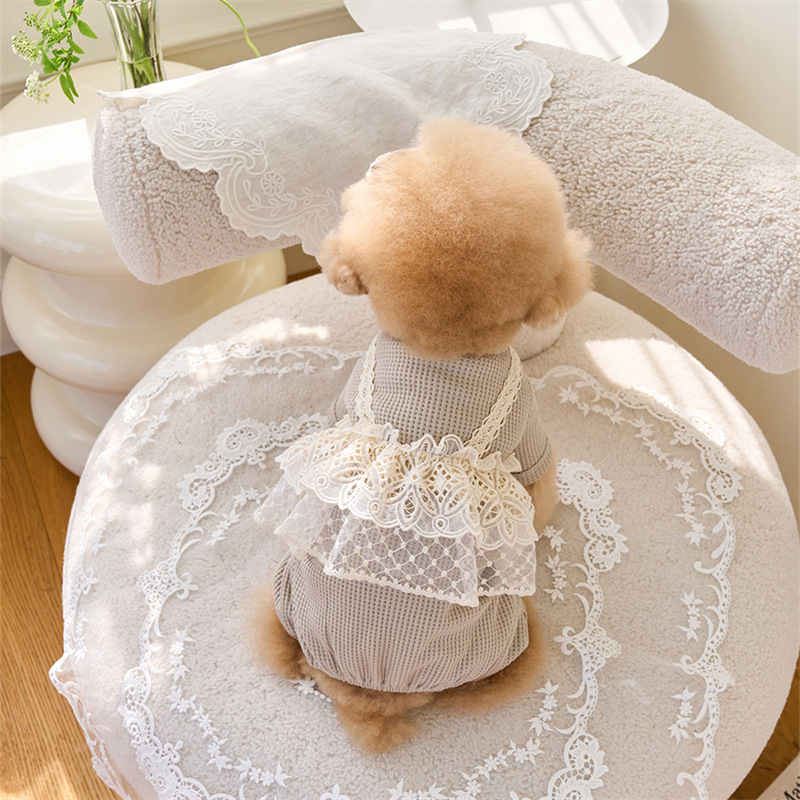 Pet Spring Jumpsuit Cute Lace  - Lace Teddy Lingerie ulasan dan harga