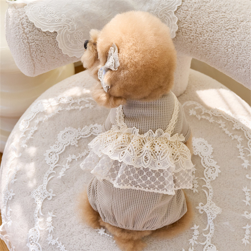 Pet Spring Jumpsuit Cute Lace  - Lace Teddy Lingerie ulasan dan harga